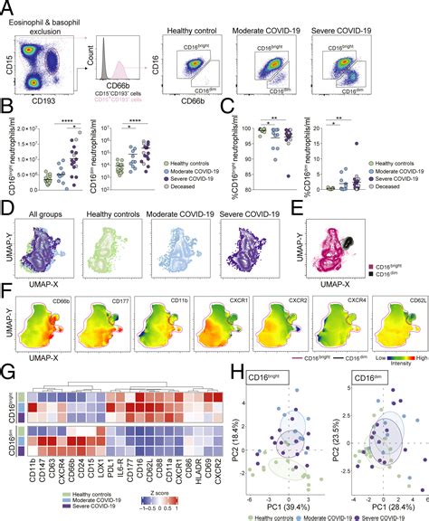 High Dimensional Profiling Reveals Phenotypic Heterogeneity And Disease