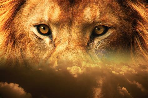 See course page for more details. Tilgate Park's Magical Christmas lion