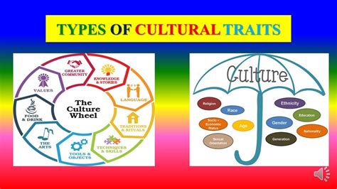 Types Of Cultural Traits Sociology Youtube