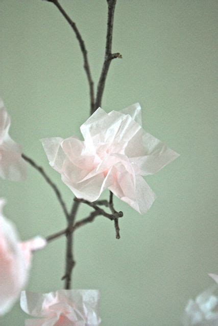 How To Create Paper Blossoms Tissue Paper Flowers Paper