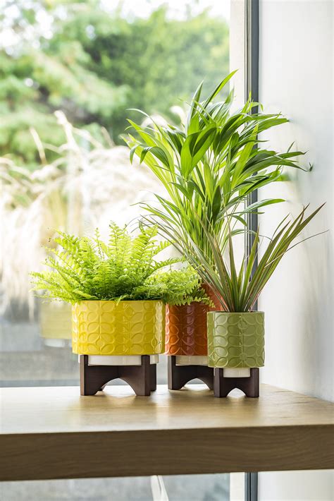 Accentuate the natural beauty of greenery with round plant pots from alibaba.com. Large round ceramic plant pot featuring the 60s Stem print ...