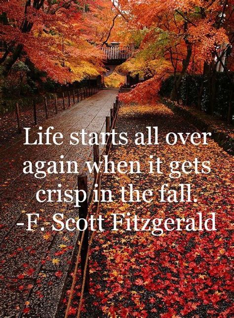 Montag Motivation Autumn Quotes Nature Quotes Fall Time Quotes