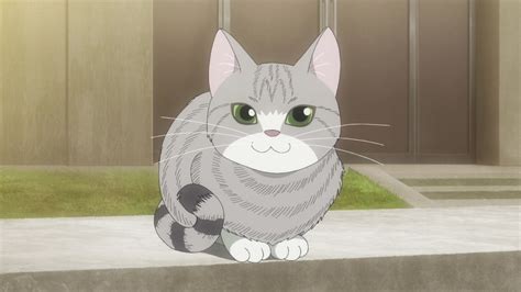 Aggregate More Than 75 Grey Anime Cat Best Vn