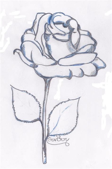 I disegni per natale pasqua festa della mamma festa del papa amazoncom fiori semplici disegni graziosi libro da. La Primavera | L'arte con kigeiblog