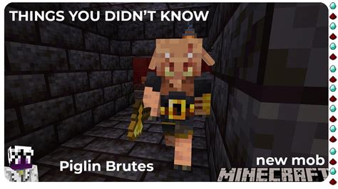 Things You Didnt Know About The Piglin Brute In Minecraft Youtube