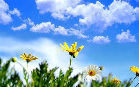 Ace of base — its a beautiful life 03:36. Beautiful Day Wallpaper ·① WallpaperTag