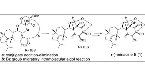 Biomimetic Total Synthesis Of Erinacine E Journal Of The American