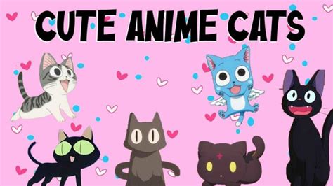 Top 20 Cute Anime Cats Ranking Most Adorable Neko Animehunch