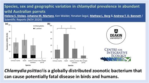 Cie Spotlight Species Sex And Geographic Variation In Chlamydial Prevalence In Abundant Wild
