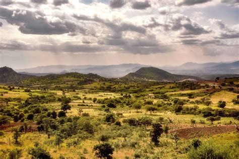 How Ethiopia's churches are reviving forests and restoring biodiversity - Acton Institute PowerBlog