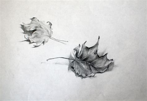 Fall Leaves Pencil Sketch Leaves Sketch Deviantart