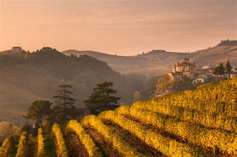 Italy Piedmont Cuneo District Barolo Langhe Barolo At Sunrise
