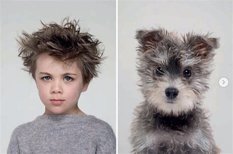 Daily Timewaster People Who Look Like Their Dogs