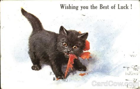 I'm trying to look for enchanted bows, books, and fishing rods by fishing for them. Wishing You The Best Of Luck! Cats