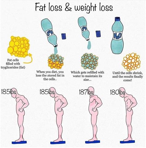 Fat Loss Vs Weight Loss Crossfitf15