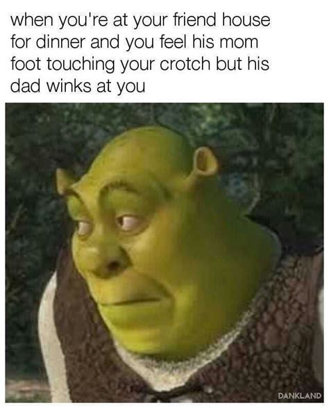 Pin By ⛤maidendespair⛤ On Meme On The Cringe Shrek Memes Shrek Funny