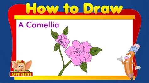 Java applet draw and fill shape with color play | download. Learn to Draw Flower - Draw a Camellia - YouTube