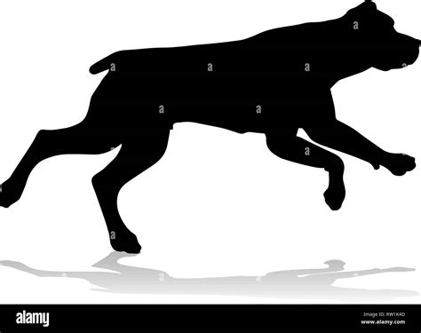 Dog Jumping Stock Vector Images Alamy