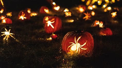How To Make Halloween More Sustainable Sustainabilitynook
