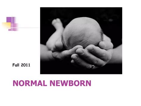 Ppt Normal Newborn Powerpoint Presentation Free Download Id1150595