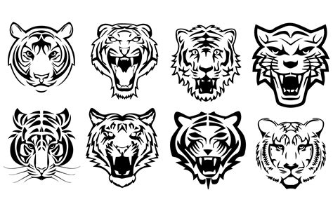 Tiger Clipart Tiger Svg Roaring Tigers Illustration Tigers Outline