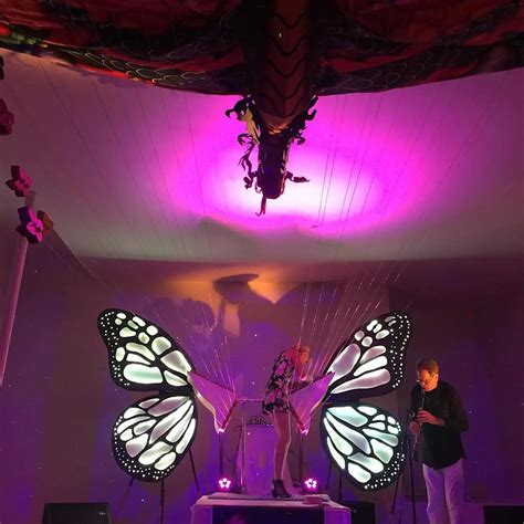 Sonic Butterfly Ojai Valley Inn February 25 To March 31