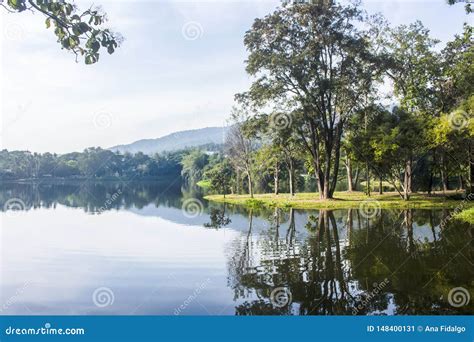 Breathtaking Scenic Landscape Of The Lake And Trees In Ang Kaew