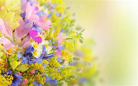 Flower Windows 1110 Theme Themepackme