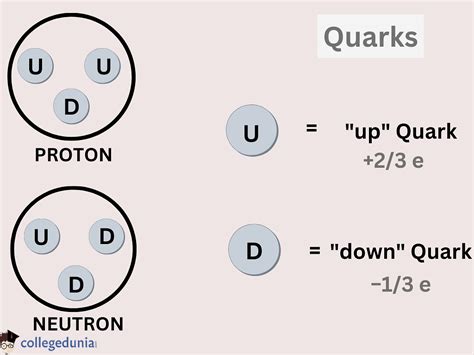 Quark Types And Properties