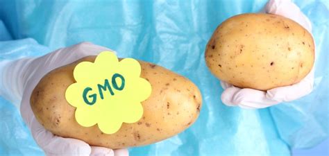 How To Know If Youre Buying The New Gmo Potato