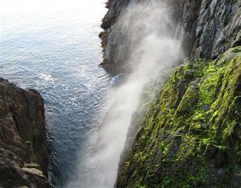We recommend wheat tortillas for baja california fish tacos. La Bufadora (THE BLOWHOLE) - Ensenada, Baja California ...