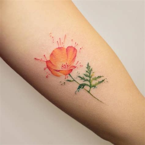 60 Beautiful Poppy Tattoo Designs And Meanings Tattooadore