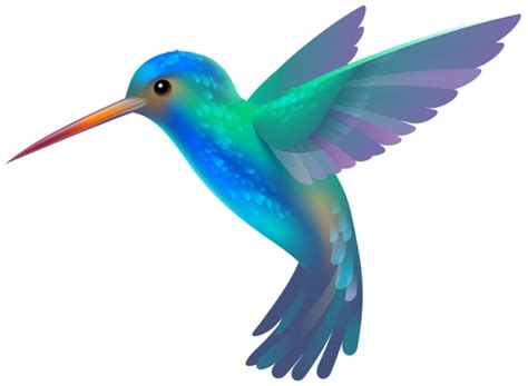Hummingbird Png Transparent Clip Art Image Dibujos De Pájaro Pintura