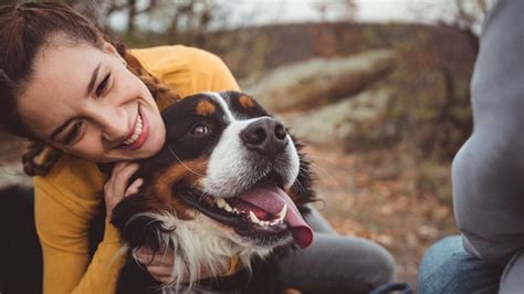 Las Mujeres Fueron Clave En La Creación Del Vínculo Entre Perros Y Humanos