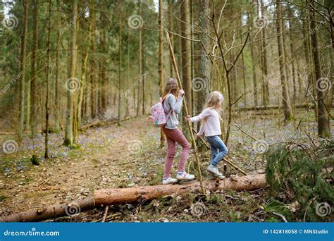 Two Cute Young Sisters Having Fun During Forest Hike On Beautiful Early Spring Day Active