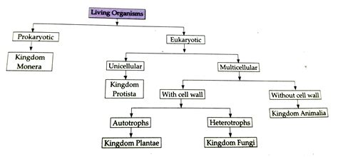 Complete The Chart Classification Of Living Organisms Sarthaks