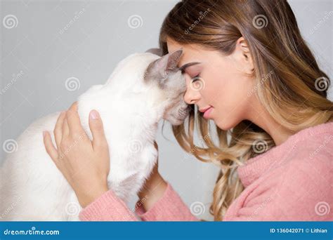 Gorgeous Brunette With Her Cat Stock Image Image Of Closed Copy