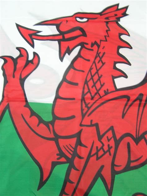 Printed Wales Flags National Flags International Flags Flags And