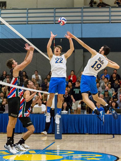 Mens Volleyball Falls To Hawaii In Close Four Set Match Daily Bruin
