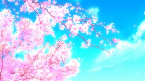 Sakura Trees Anime Aesthetic 367 Images About Cherry Blossom On We