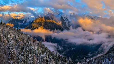 Beautiful Clouds Under Dark Forest With Snow Covered Mountains Hd Nature Wallpapers Hd