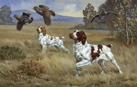 Two Brittany Dogs Hunting On One 16 Inch Square Fabric Panel Etsy