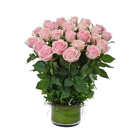 2 Dozen Long Stem Pink Roses Perth Pink Roses Perth Delivery