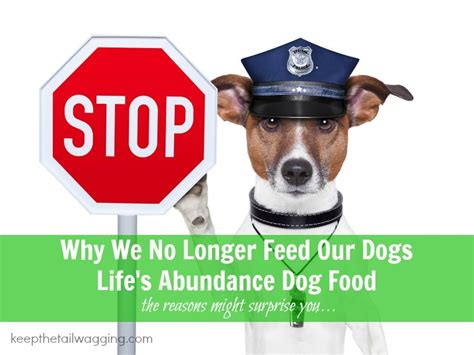 Life's abundance sells great dog food. Why We No Longer Feed Our Dogs Life's Abundance Dog Food ...