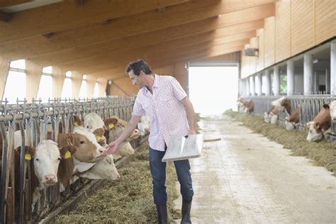 Maybe you would like to learn more about one of these? EU guidelines on the prudent use of antibiotics - Carni ...