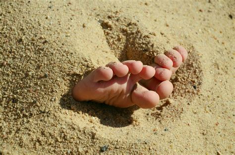 Free Images Hand Beach Sand Feet Summer Leg Finger Foot Holiday Soil Material