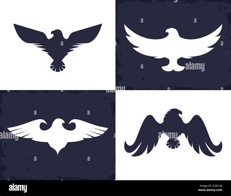 Eagles And Hawks Stock Vector Image And Art Alamy