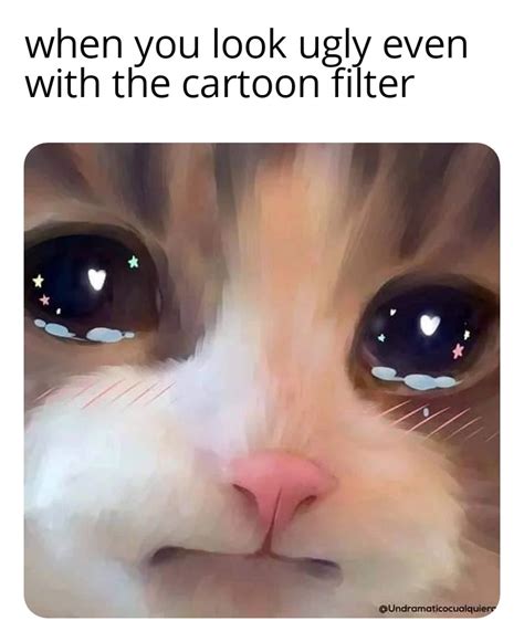 Damn It Hurts Right In The Meow Meow Rmemes