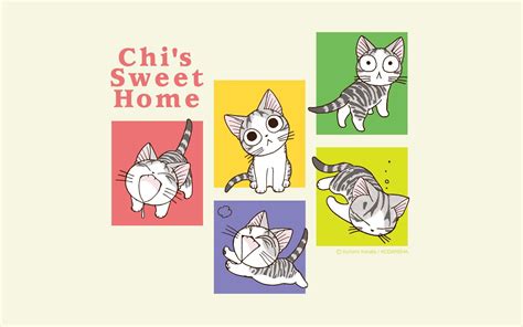 Chis Sweet Home Wallpapers Wallpaper Cave