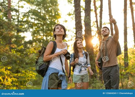 Young Friends In Forest On Summer Da Stock Image Image Of Backpacking